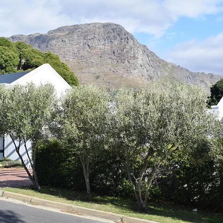 Protea Studio Franschhoek Central Eksteriør billede